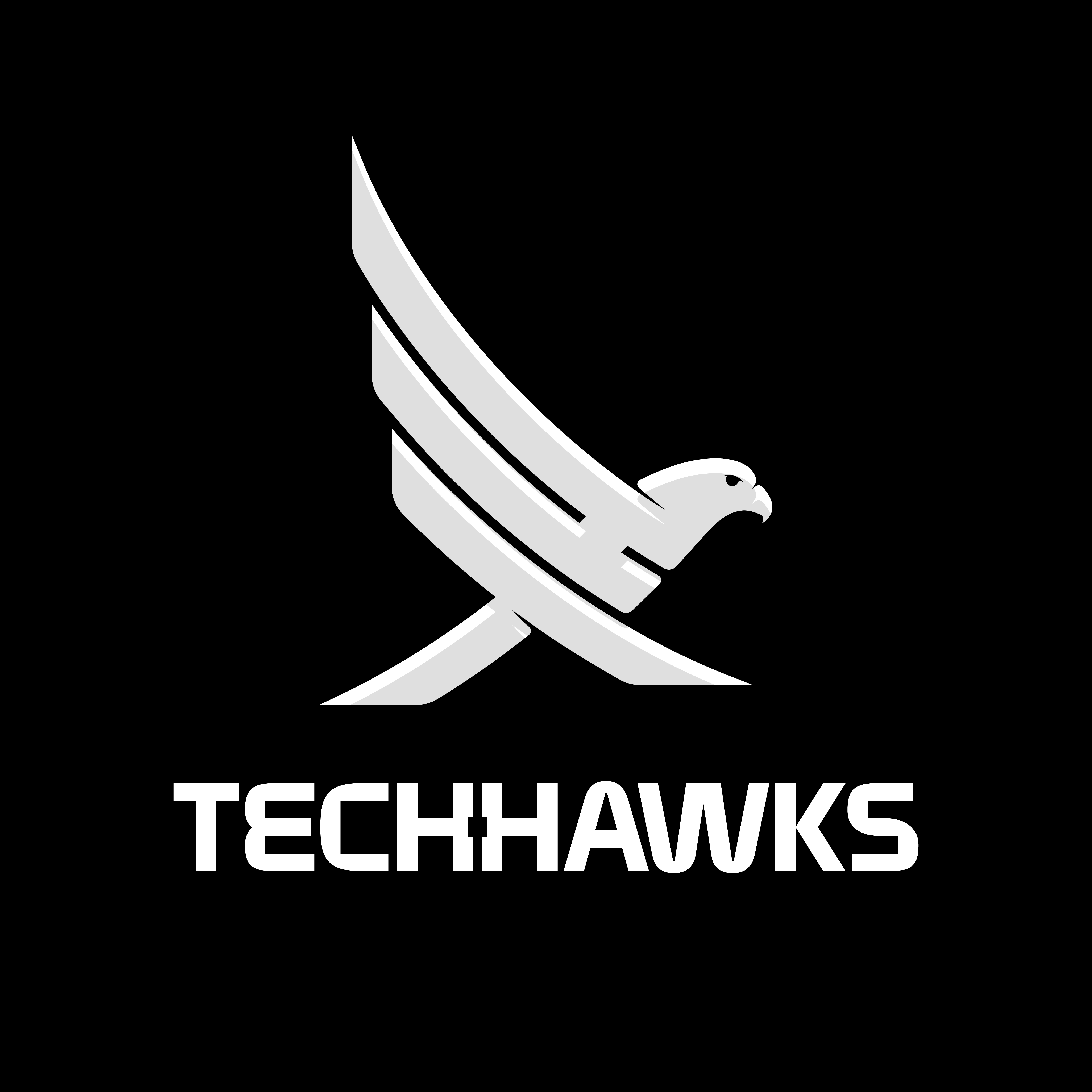 TechHawks - SAP S/4Hana Experts